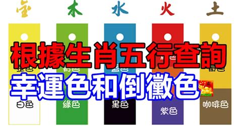 八字幸運色查詢|根據生肖五行查詢幸運色和倒霉色